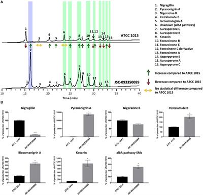 Metabolomic Analysis of Aspergillus niger Isolated From the International <mark class="highlighted">Space Station</mark> Reveals Enhanced Production Levels of the Antioxidant Pyranonigrin A